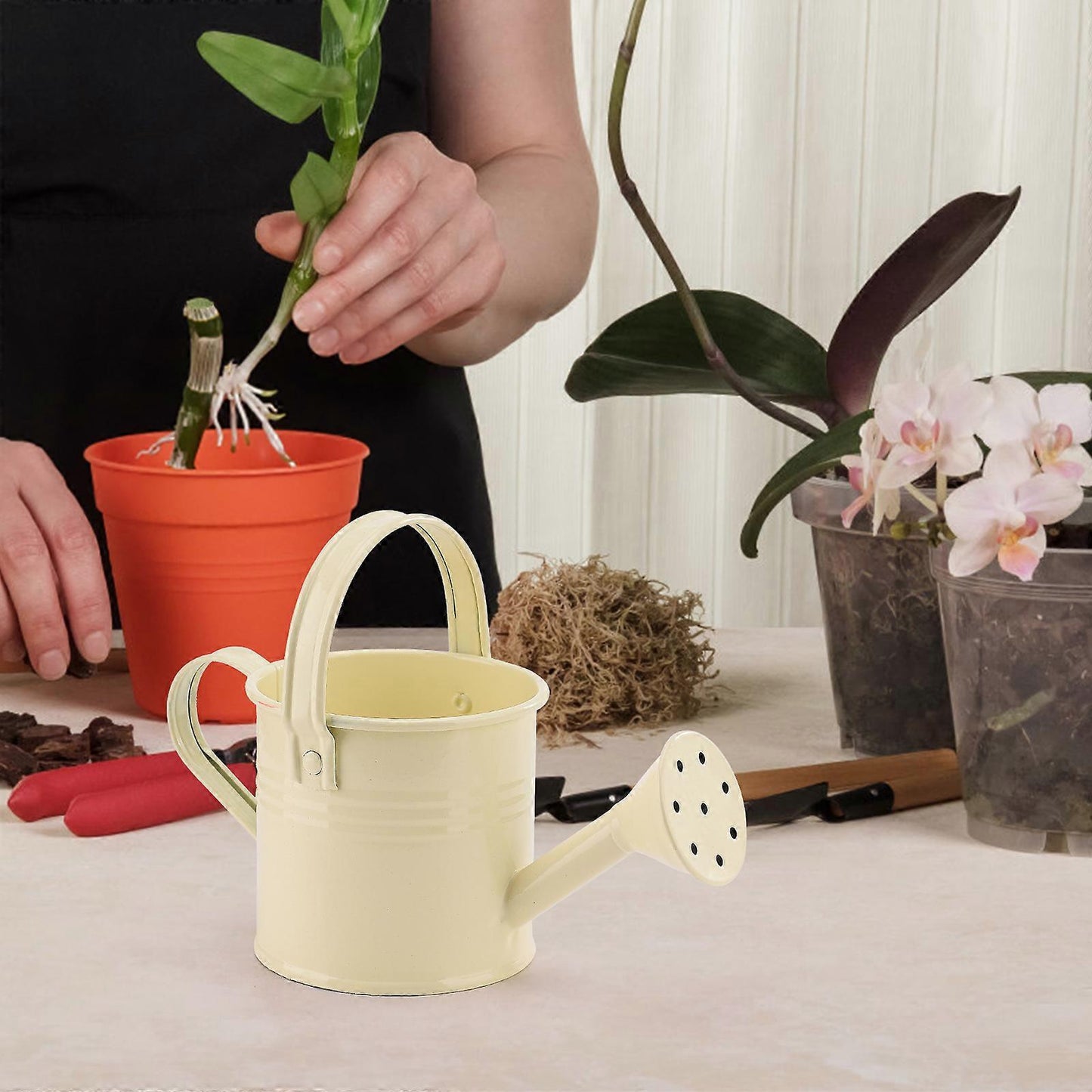 100% New, Mini Iron Watering Can, Spray Bottle, Metal Forging with Handle, Sprinkler Shower Pink - Image 3