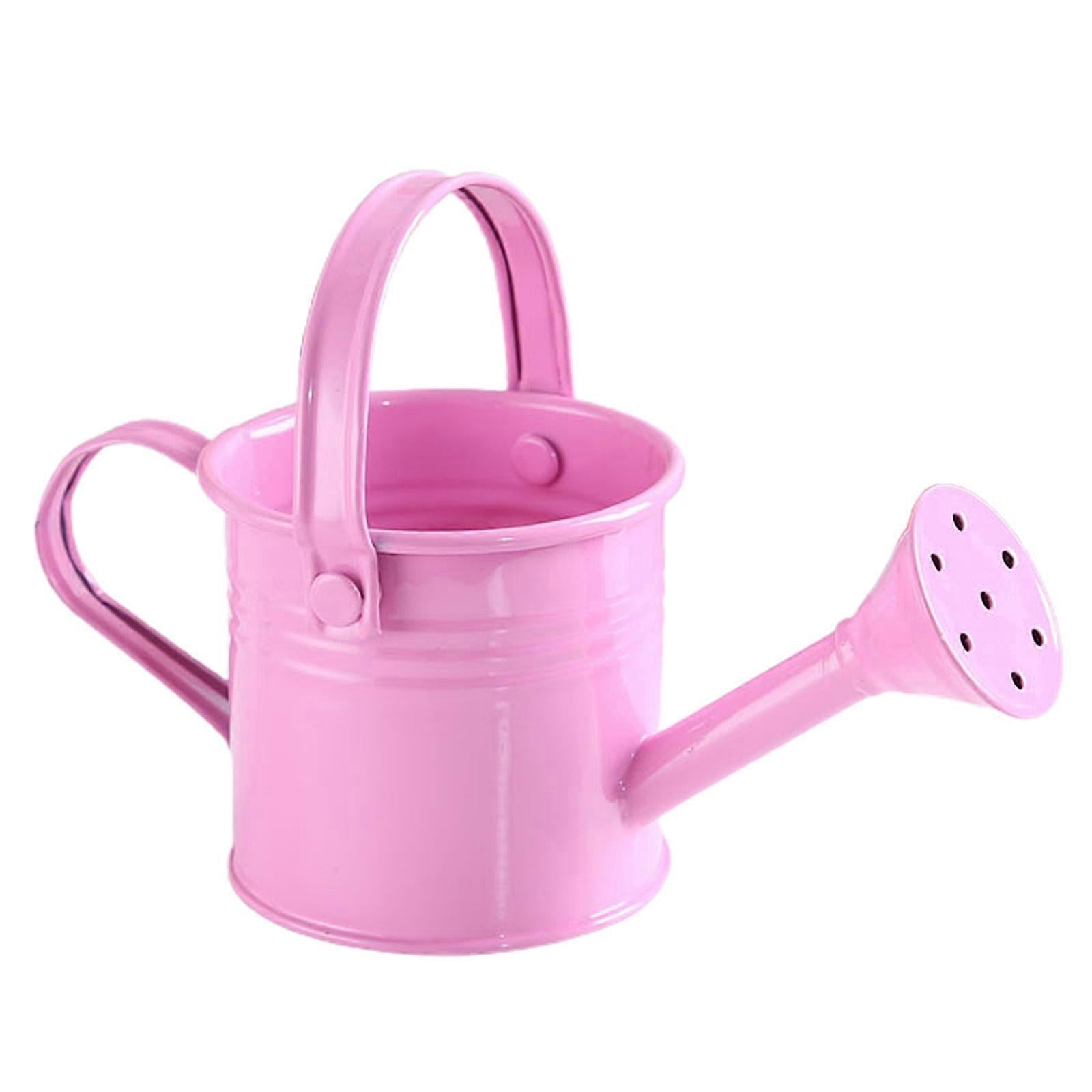 100% New, Mini Iron Watering Can, Spray Bottle, Metal Forging with Handle, Sprinkler Shower Pink - Image 5