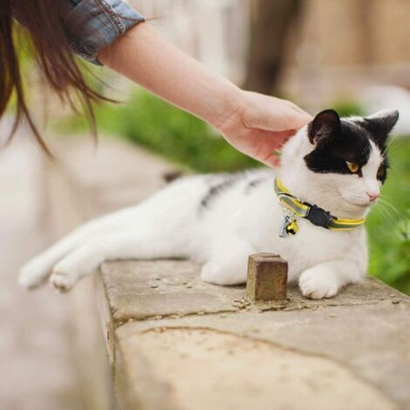 6X Adjustable Reflective Collars for Cats and Puppies with Bell and Safety Buckle, Cute Multicolor Pet Accessories - Image 5