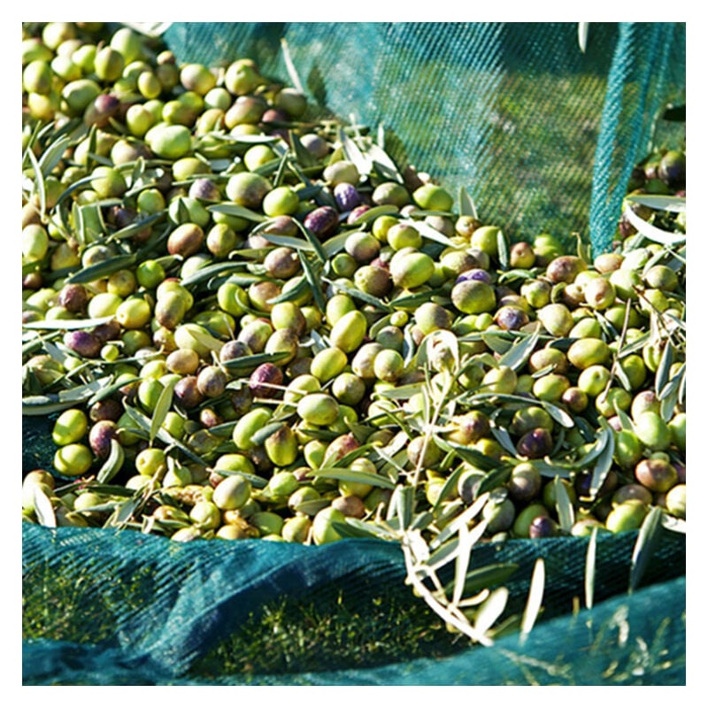 Olive Net Fruit Harvest Tool 4 x 4m - 16m² - Image 4