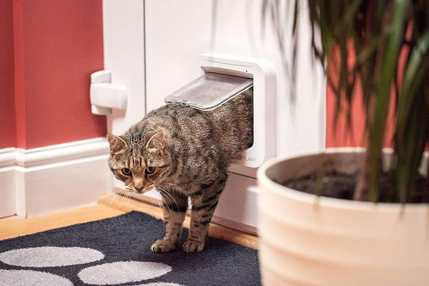 Cat Mate cat flap, white, comfortable for cats to get in and out - Image 5