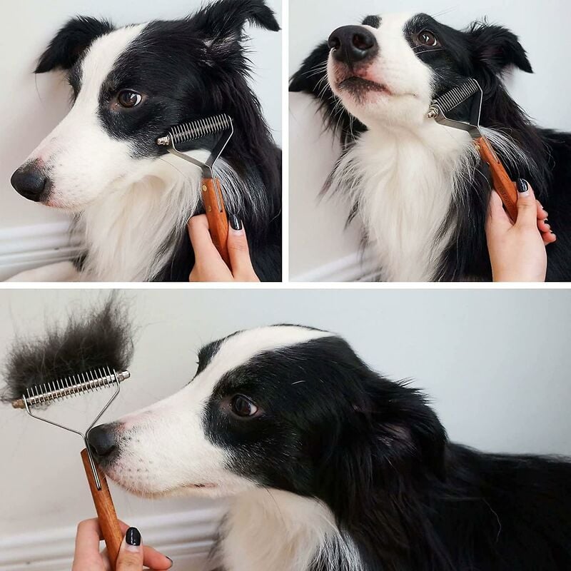 Coat King Dog and Cat Brush, Pet Grooming Comb Deshedding Rake Significantly Reduces Shedding - Image 4