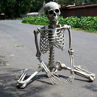 Halloween Skeleton Life Size, Full Body with Movable Joints, Human Legs, Scary Halloween Skeleton Decoration for Halloween Party, Haunted House Accessories - Image 2