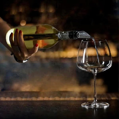2-pack Wine Cooler Wine Bottle Cooler Stainless Steel Wine Chiller Wine Decanter with Wine Aerator - Image 2