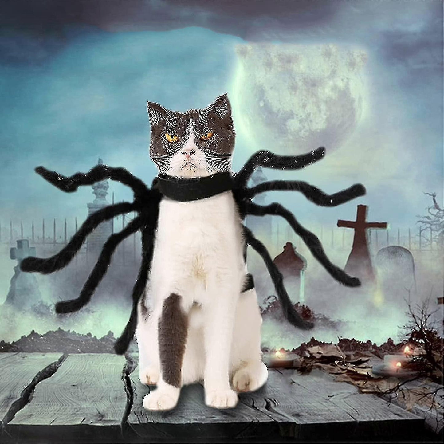 Halloween Adjustable Dog Cat Spider Costume Realistic Plush Spider - Image 5