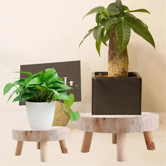 Mini Wooden Pallet Display Plant Stand Decorative Wooden Plant Pallet Bonsai Holder for Indoor Outdoor Home Garden C - Image 3