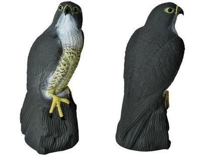 Scarecrow Eagle - Scares away Birds