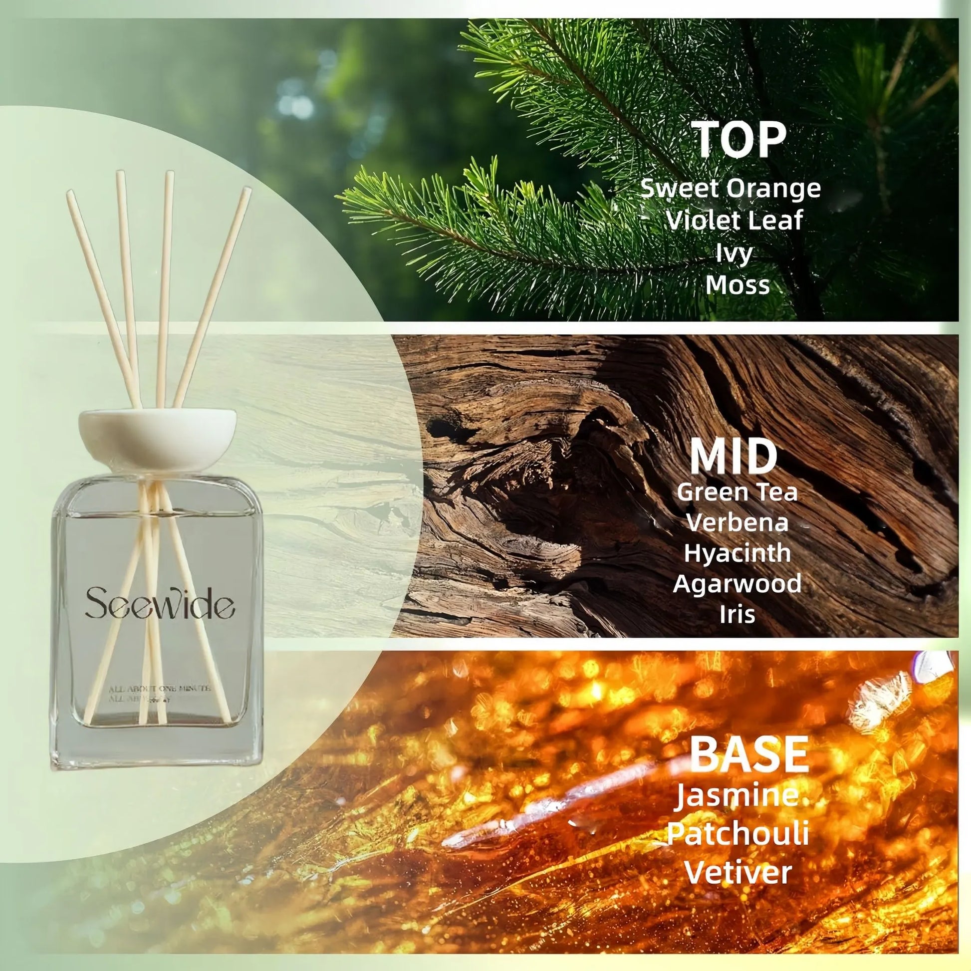 Reed Diffuser, Long-Lasting Home Fragrance & Scent Diffuser, 200ml Essential Oil Room Freshener for Bedroom, Living Room & Bathroom - Image 4