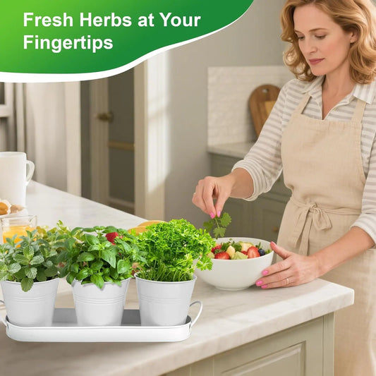 Herb Garden Planter Indoor Kit – 6 Metal Pots with 2 Trays for Windowsill & Kitchen Counter – Modern Decorative Indoor Planters for Herbs, Succulents & Small Plants, White - Image 2