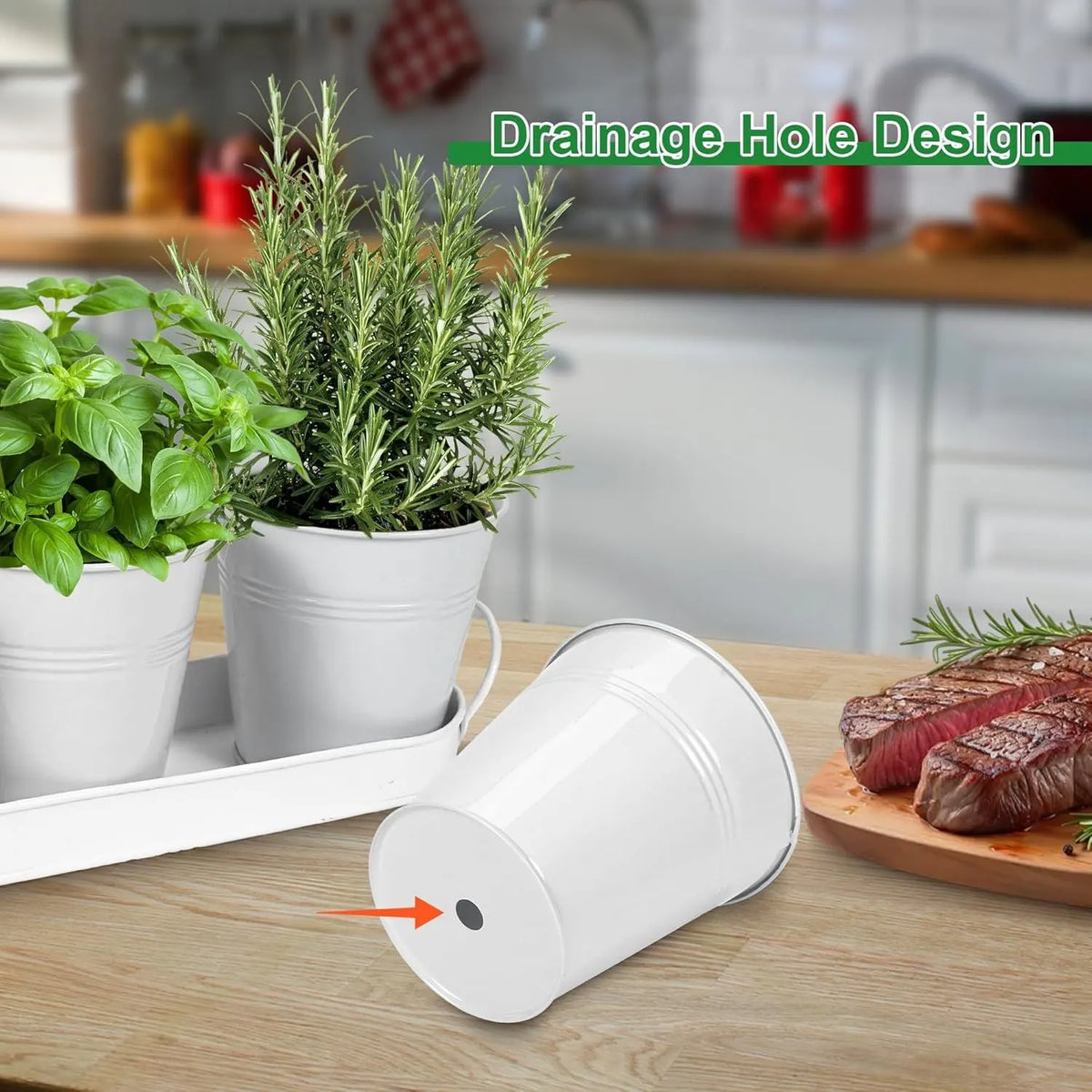 Herb Garden Planter Indoor Kit – 6 Metal Pots with 2 Trays for Windowsill & Kitchen Counter – Modern Decorative Indoor Planters for Herbs, Succulents & Small Plants, White - Image 4