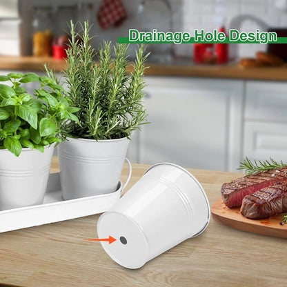 Herb Garden Planter Indoor Kit – 6 Metal Pots with 2 Trays for Windowsill & Kitchen Counter – Modern Decorative Indoor Planters for Herbs, Succulents & Small Plants, White - Image 4