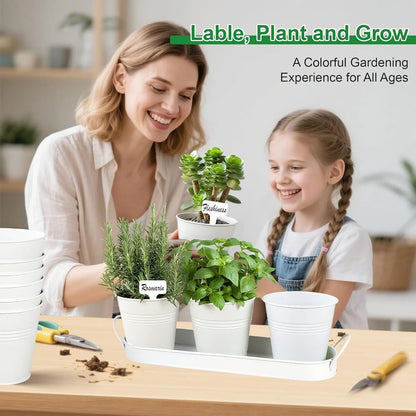 Herb Garden Planter Indoor Kit – 6 Metal Pots with 2 Trays for Windowsill & Kitchen Counter – Modern Decorative Indoor Planters for Herbs, Succulents & Small Plants, White - Image 6
