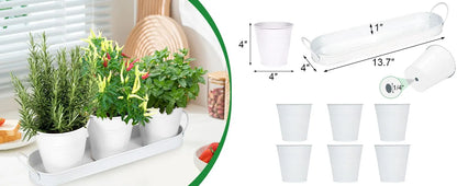 Herb Garden Planter Indoor Kit – 6 Metal Pots with 2 Trays for Windowsill & Kitchen Counter – Modern Decorative Indoor Planters for Herbs, Succulents & Small Plants, White - Image 9