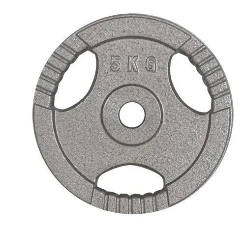 5kg Standard Size Cast Iron Weight Plate with Grip