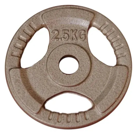 2.5kg Standard Size Cast Iron Weight Plate