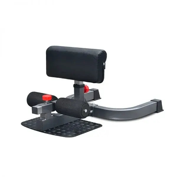 Sissy Squat Bench