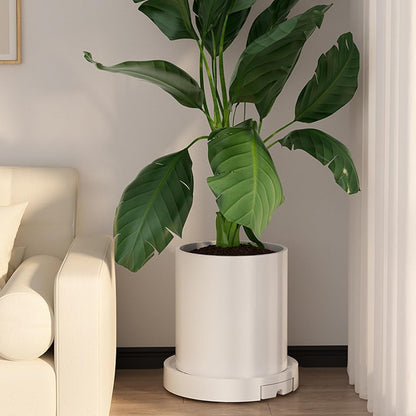 CARLA HOME Rolling Plant Stand with 360° Wheels for Indoor Pots (26 cm) - Image 2