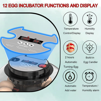 CARLA HOME 12 Egg Incubator with Automatic Turning, LED Display, Humidity & Temperature Control, Auto Water System & Built-in Egg Candler for Chicken, Duck, Quail, Goose - Image 4