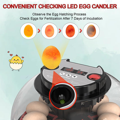 CARLA HOME 12 Egg Incubator with Automatic Turning, LED Display, Humidity & Temperature Control, Auto Water System & Built-in Egg Candler for Chicken, Duck, Quail, Goose - Image 5