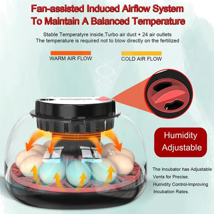 CARLA HOME 12 Egg Incubator with Automatic Turning, LED Display, Humidity & Temperature Control, Auto Water System & Built-in Egg Candler for Chicken, Duck, Quail, Goose - Image 6