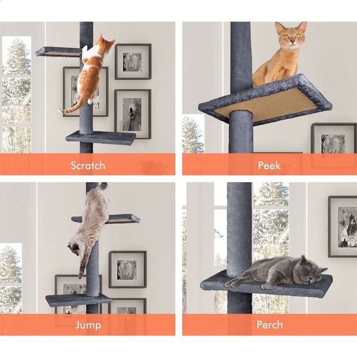 CARLA HOME Floor to Ceiling Cat Tree Tower  with Adjustable Height 230-286cm for Indoor Cats (Grey) - Image 5