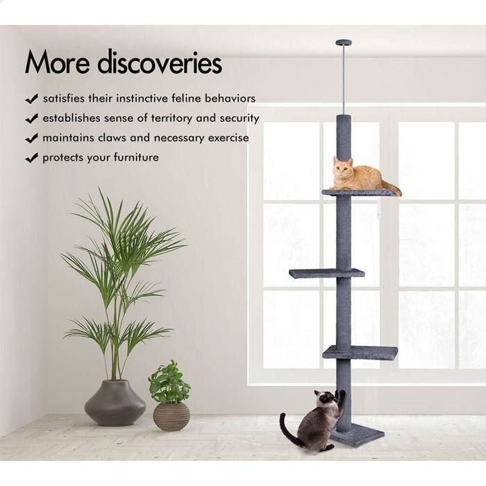 CARLA HOME Floor to Ceiling Cat Tree Tower  with Adjustable Height 230-286cm for Indoor Cats (Grey) - Image 6