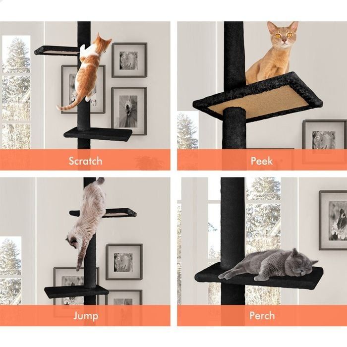 CARLA HOME Floor to Ceiling Cat Tree Tower  with Adjustable Height 230-286cm for Indoor Cats (Black) - Image 5