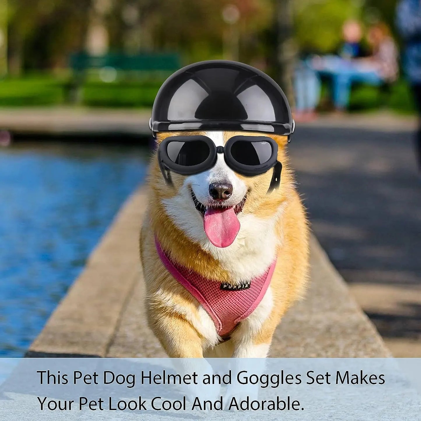 Dog Helmet Goggles, Small Size, Black - Image 6