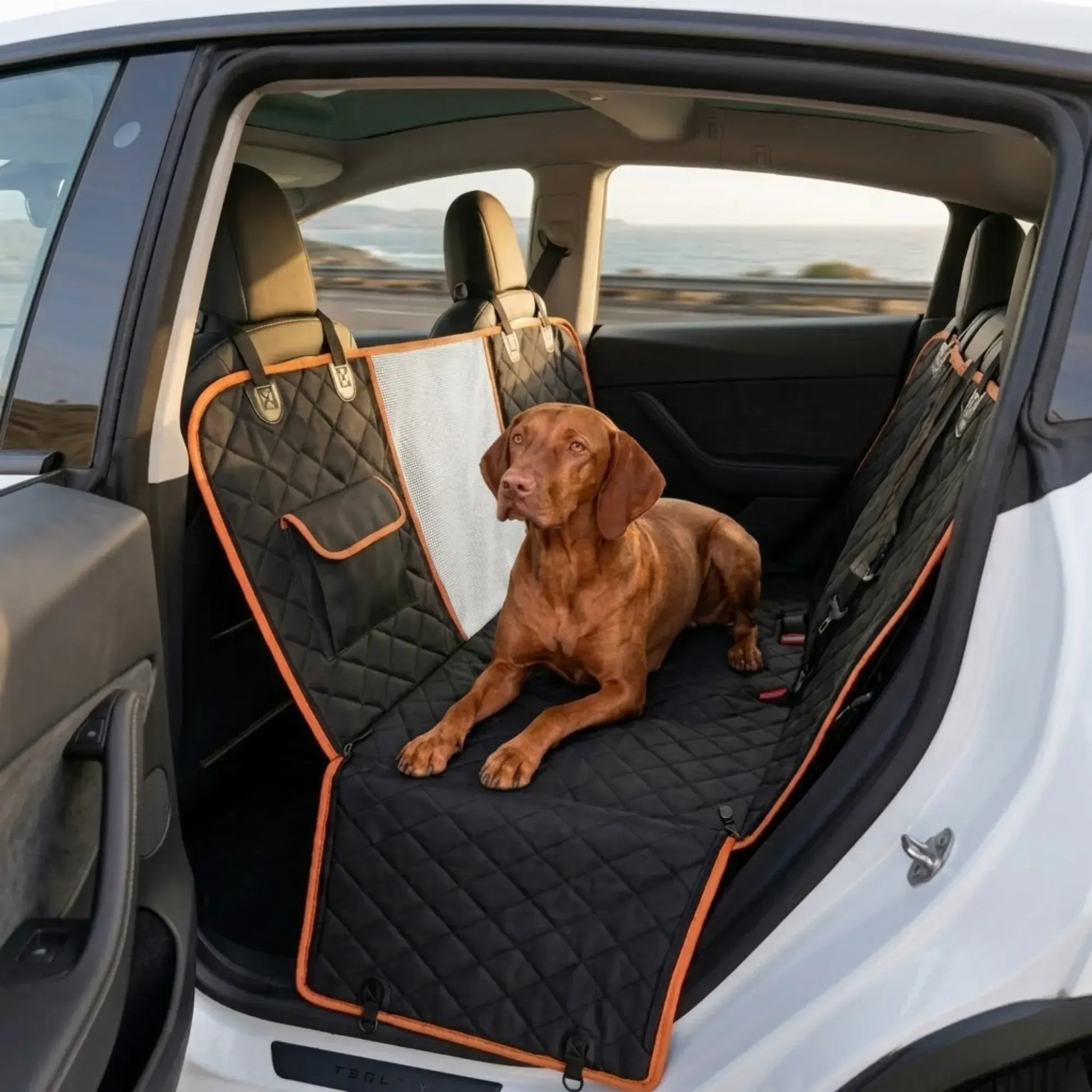 CARLA HOME Waterproof Dog Car Seat Cover Hammock - Black - Nylon - Dog Set Cover - Image 2