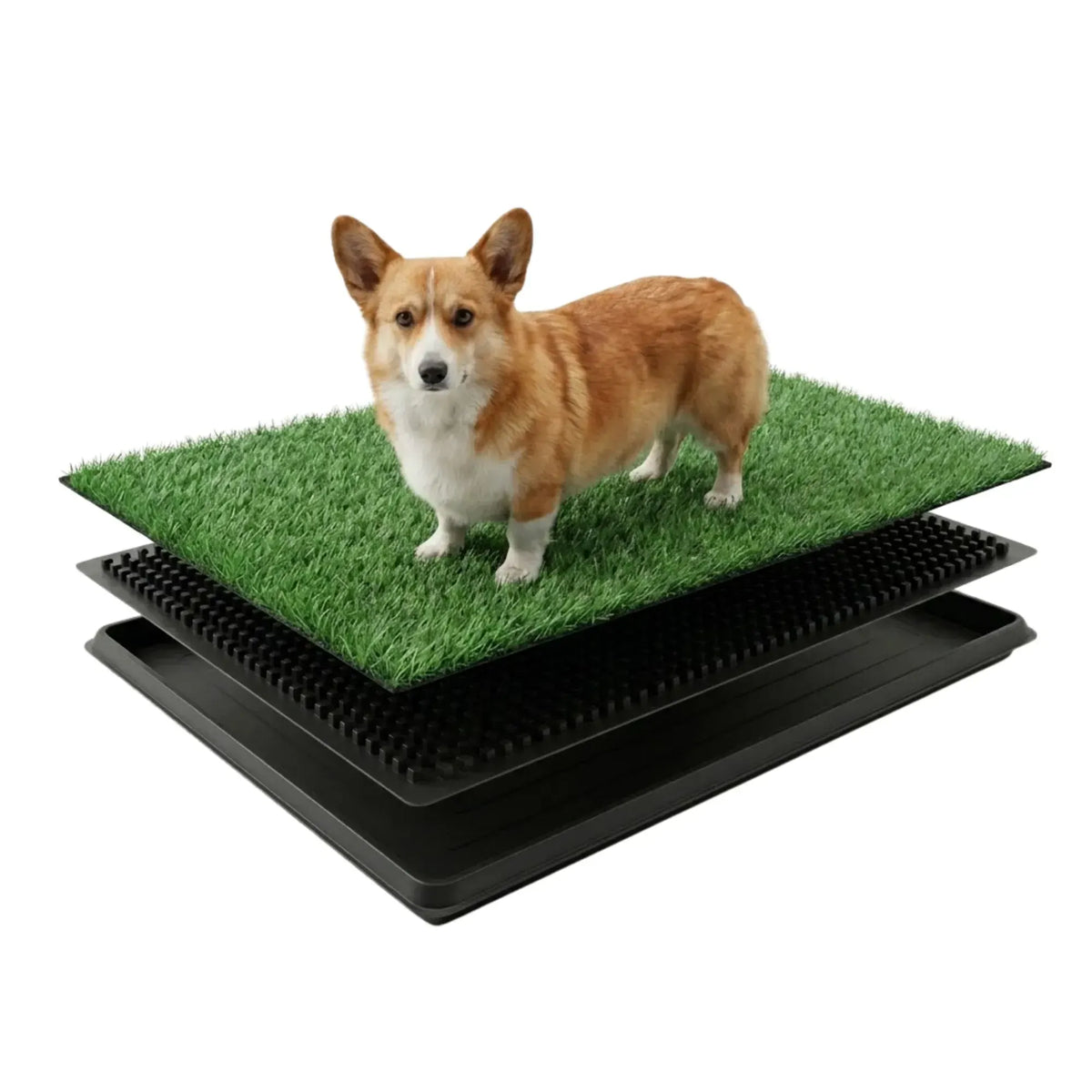 CARLA HOME Dog Grass Pad with Tray - 3-Layer - Outdoor - Puppy Potty Pad Grass