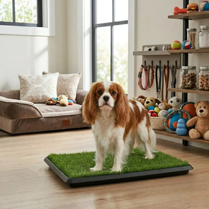 CARLA HOME Dog Grass Pad with Tray - 3-Layer - Outdoor - Puppy Potty Pad Grass - Image 2