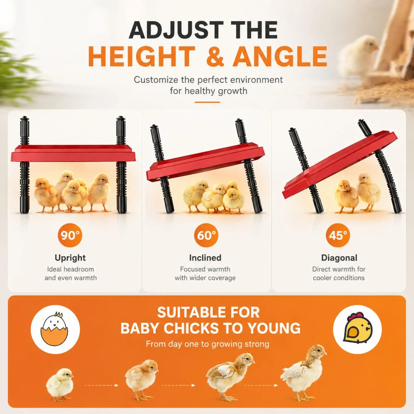 CARLA HOME Chick Brooder Heating Plate - Adjustable Height - Red - Chicken Heater - Image 4