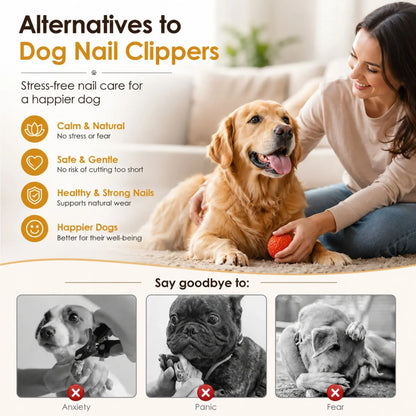 CARLA HOME Dog Nail Scratch Board with Snack Box Sandpaper Puppy Nail Pet - Image 3