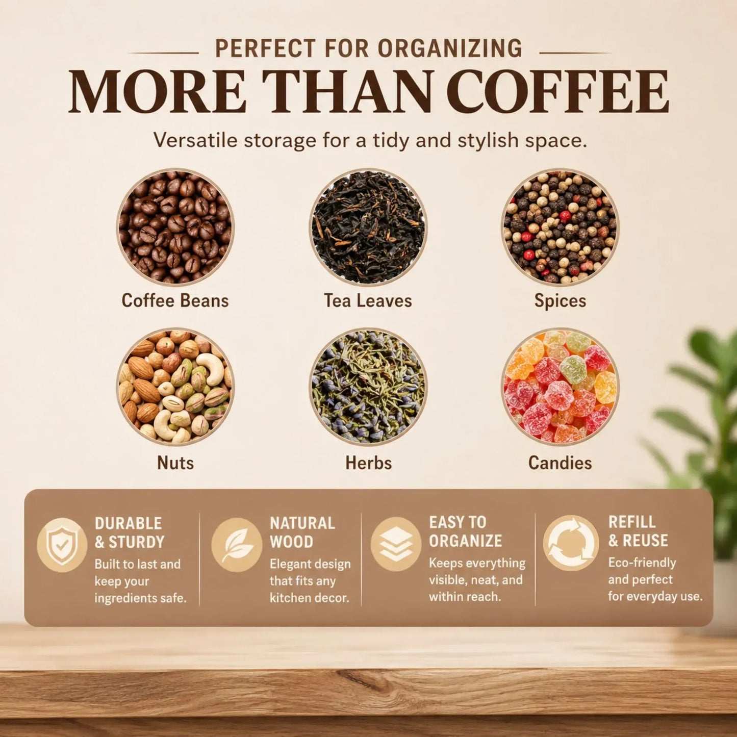 CARLA HOME Glass Coffee Bean Storage Tubes, 12 Pack Wooden Stand (60ml 20g) - Image 7