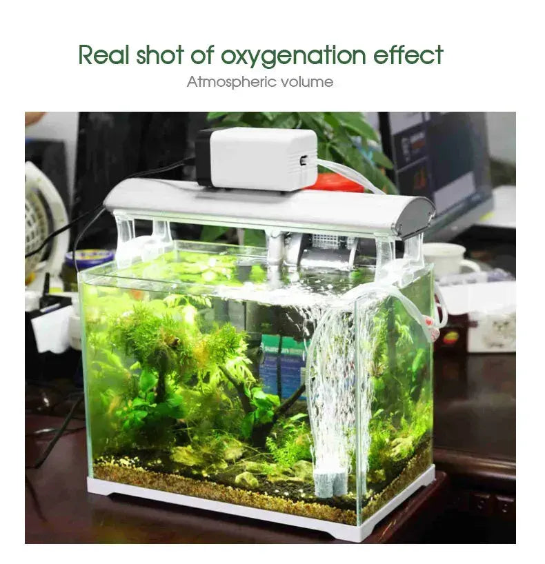 Black Aquarium Oxygen Pump with Dual Outlets for Fish Tank and Pond, 2x90L/h - Image 7