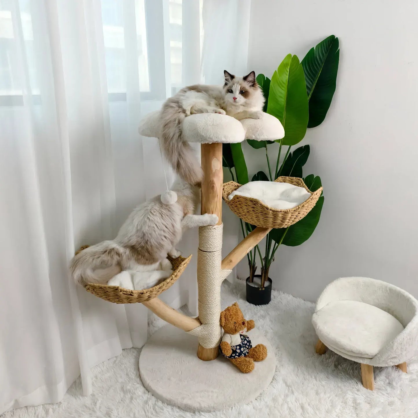Real Wood Cat Tree Tower in Natural Wood for Indoor Cats Up to 10KG, 60x111cm - Image 2