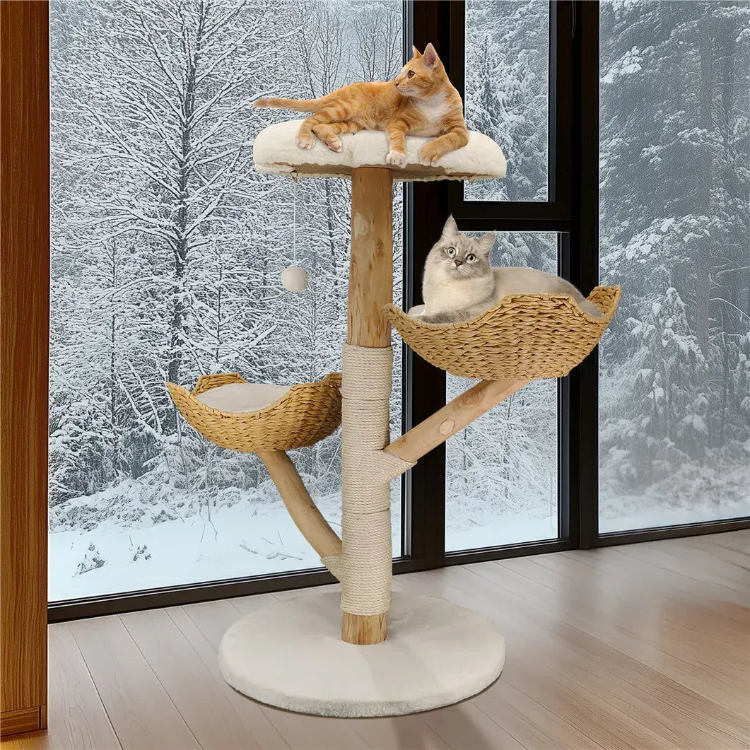 Real Wood Cat Tree Tower in Natural Wood for Indoor Cats Up to 10KG, 60x111cm - Image 6