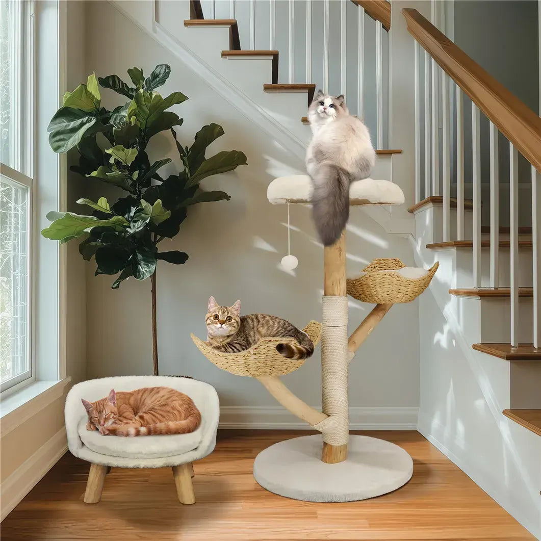Real Wood Cat Tree Tower in Natural Wood for Indoor Cats Up to 10KG, 60x111cm - Image 7
