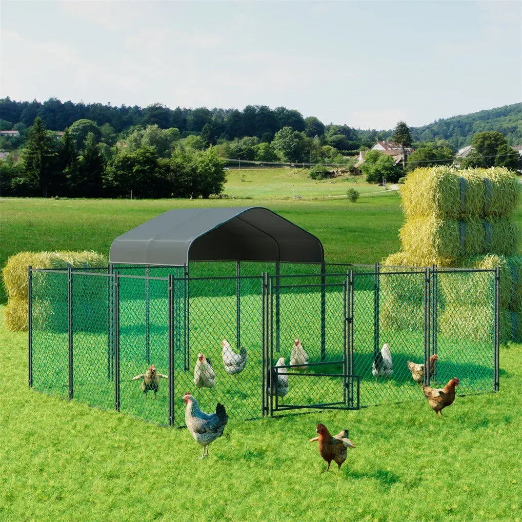 Extra Large Black Chicken Coop Cage Run Rabbit Hutch Walk-In Hen Enclosure 300x200x270cm - Image 2