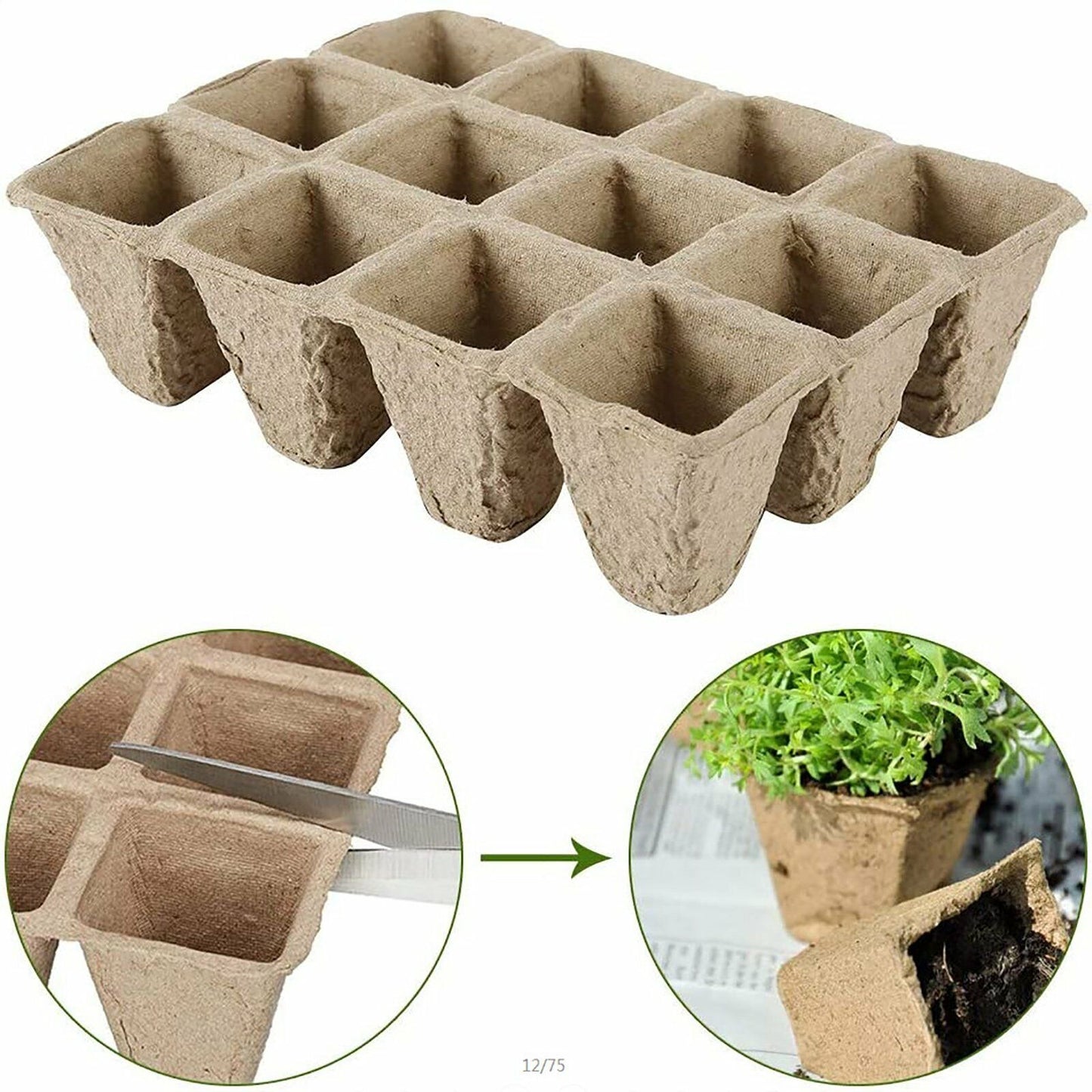 10pcs Biodegradable Seedling Trays 12-Hole Garden Starter - Image 5