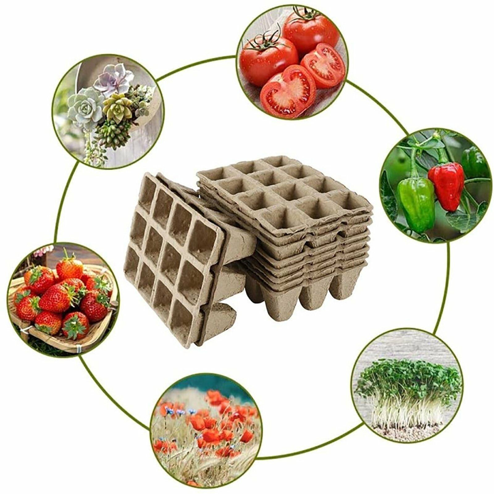10pcs Biodegradable Seedling Trays 12-Hole Garden Starter - Image 6