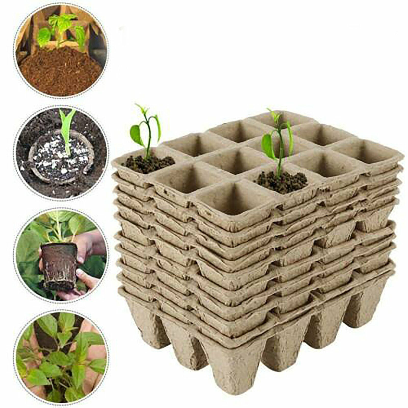 10pcs Biodegradable Seedling Trays 12-Hole Garden Starter - Image 7