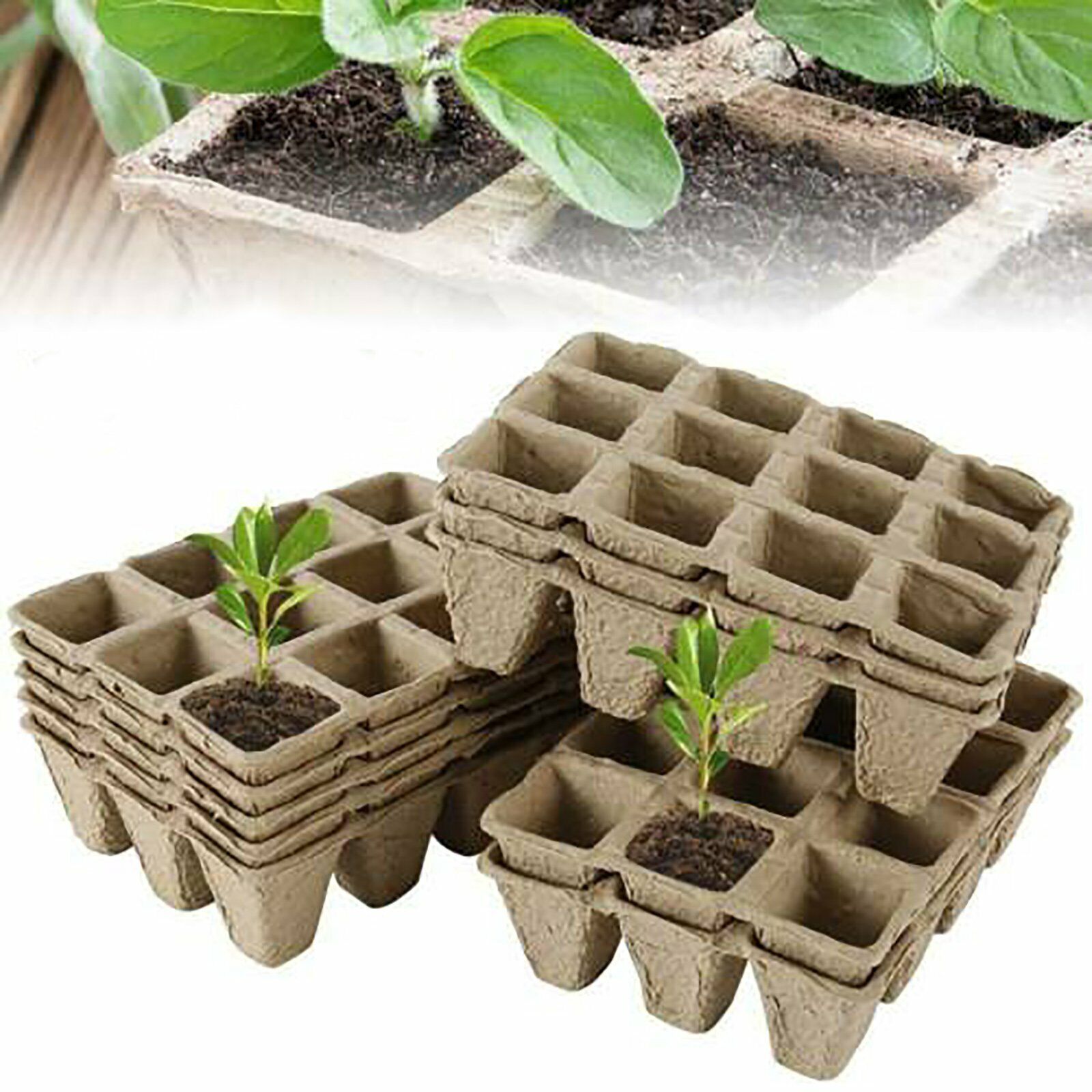 10pcs Biodegradable Seedling Trays 12-Hole Garden Starter - Image 8
