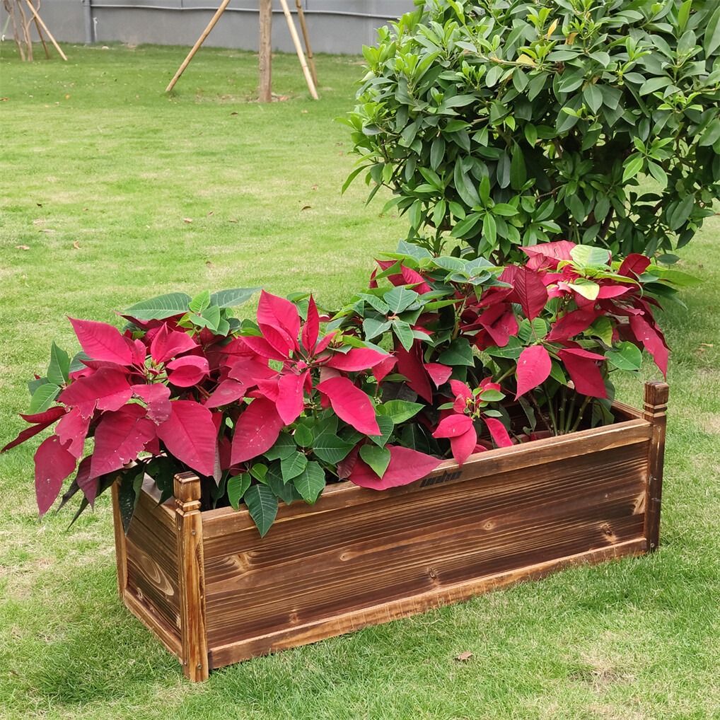Medium Raised Garden Bed 60x30x33cm Wooden Planter Box - Image 5