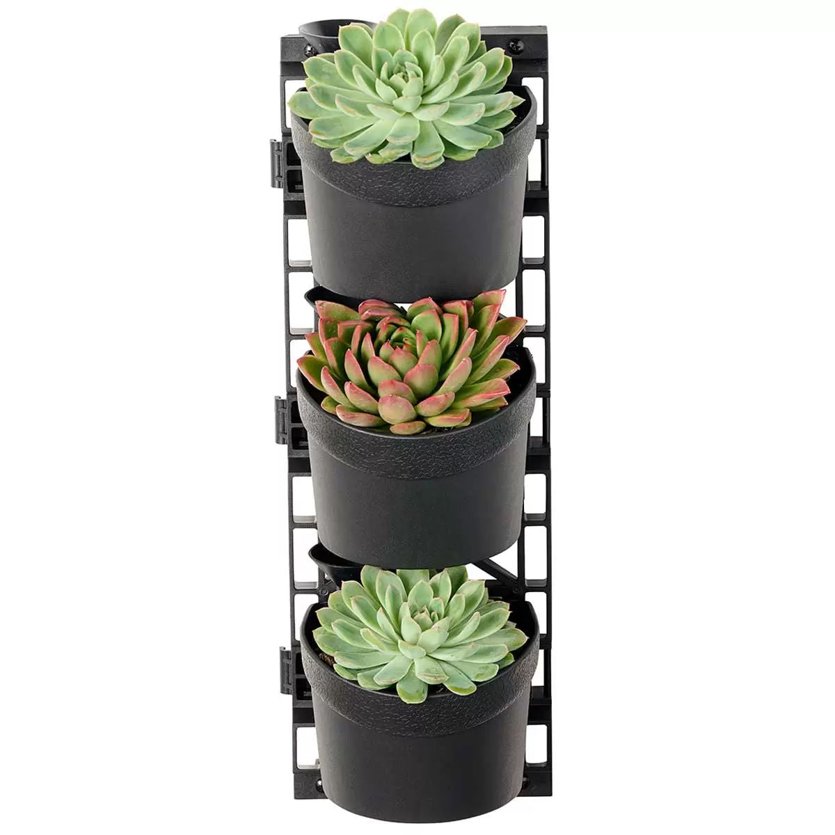 Tri vertical garden with 4 frames and 12 pots - Image 3