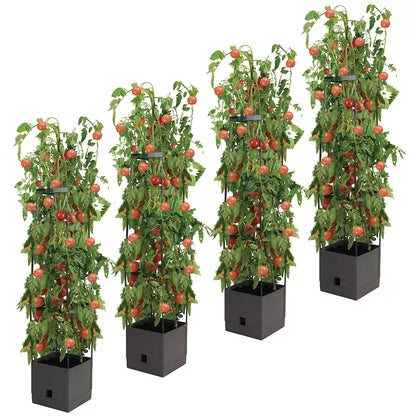 Tomato Tower With 3 Tier Frame 4 x Pack - Image 2