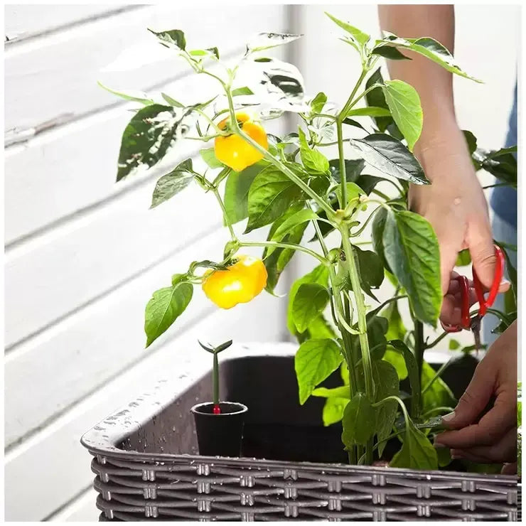 Dark Brown Easy Grow Planter Bed Brown with Water Gauge and Drainage System - Image 6