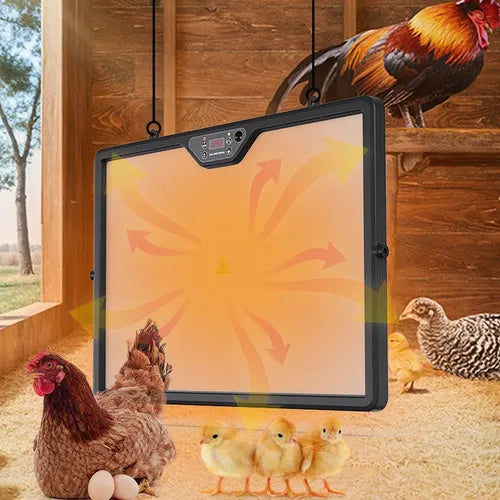 Adjustable Dual-Sided Heating Chicken Brooder Coop Heater Duck Poultry Warmer - Image 5