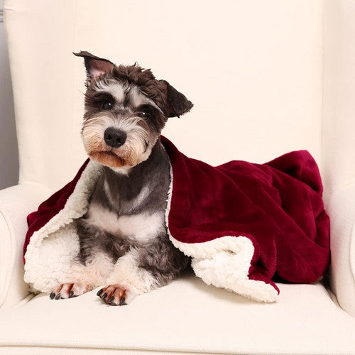 Double-side Flannel Heated Electric Throw Blanket Fast Heating Warm Washable red - Image 6