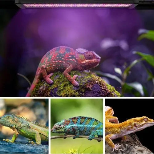 30cm Adjustable Reptile 5.0UVA UVB Lamps LED Light for Reptile Tanks Pet Lighting System - Image 4